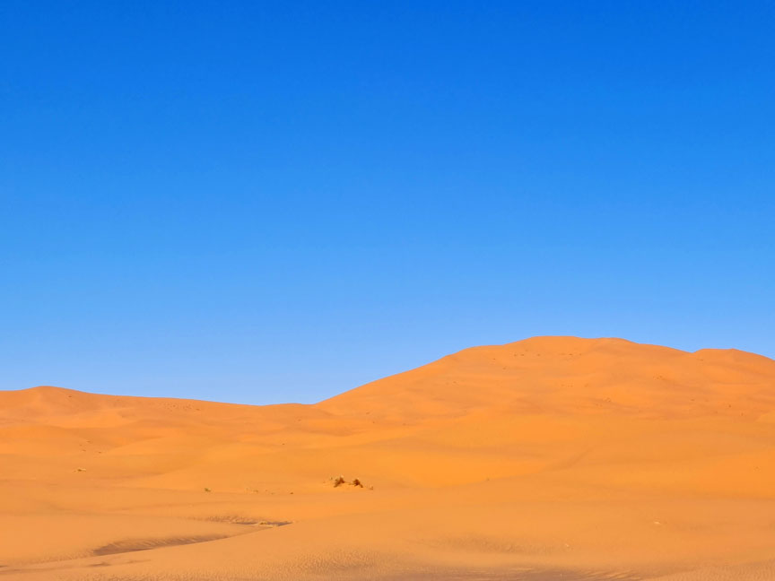Activités dans le désert de Merzouga : l'expérience saharienne par excellence